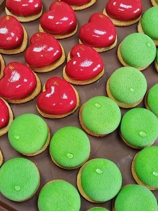 Семинар ЭФКО в Саратове