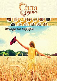 Рекламная концепция для линейки хлебопекарных смесей — «Cила зерна»